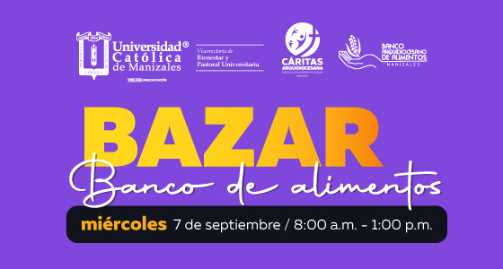 BazarAlimentos_7nov